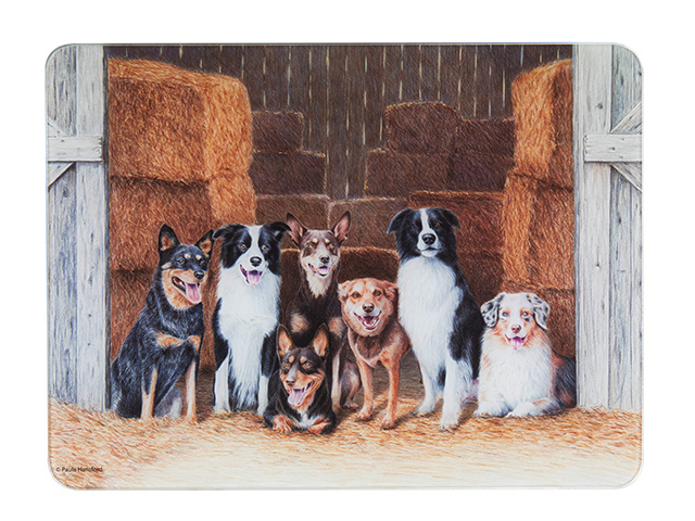 WORKING DOGS HAY SHED SURFACE PROTECTOR