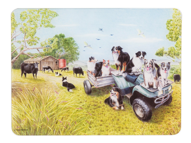 WORKING DOGS QUAD BIKE SURFACE PROTECTOR