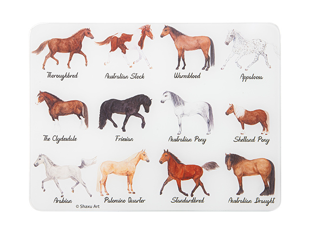 BEST IN BREED HORSE SURFACE PROTECTOR