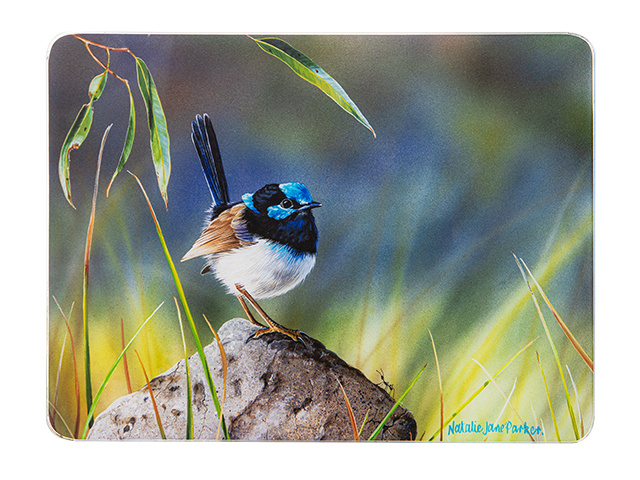 SMALL BIRDS WREN SURFACE PROTECTOR