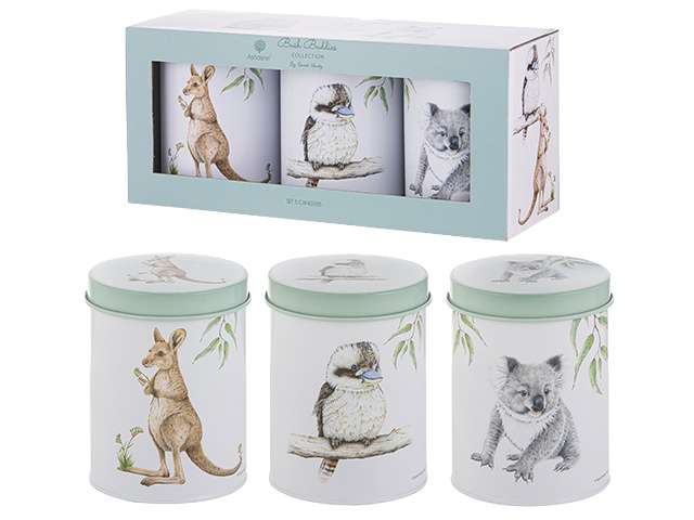 BUSH BUDDIES 3PK CANISTER