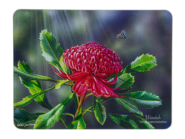 WARATAH SURFACE PROTECTOR