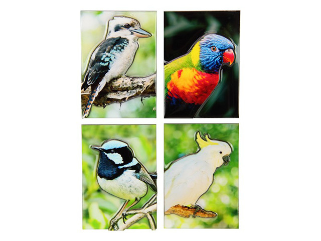 AUSTRALIAN BIRD MAGNET 4ASST 10CM UN12