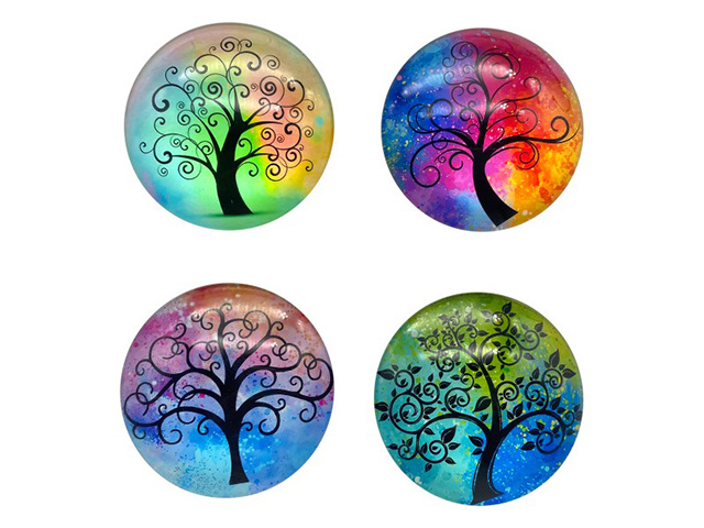 5CM ROUND GLASS TOL MAGNET 4ASST UN12