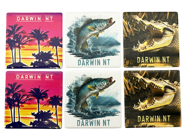 DARWIN MAGNETS 3ASST SOLD QTY 12
