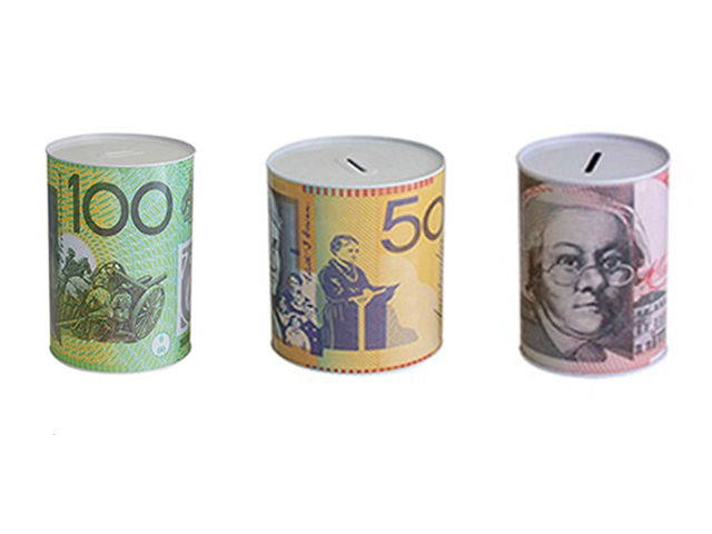 MONEY TIN LGE 15.5X22CM