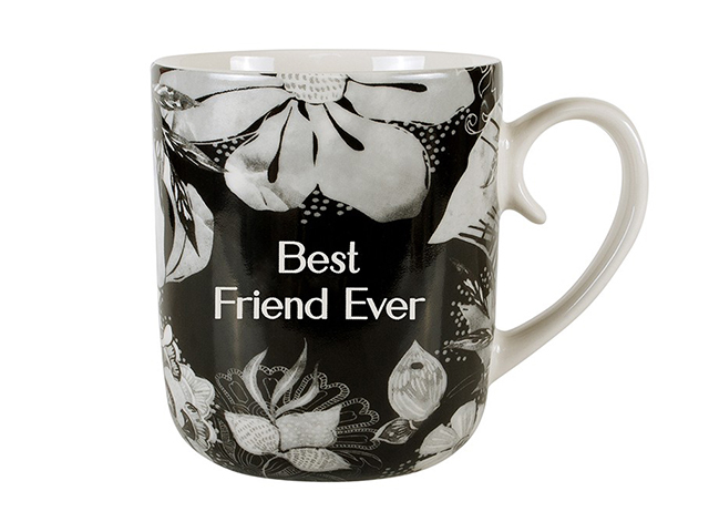 BEST FRIEND EVER STUDIO MUG SOLD QTY2