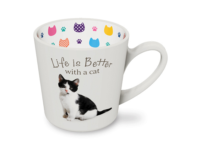 BLACK AND WHITE CAT 10CM 420ML SOLD QTY2