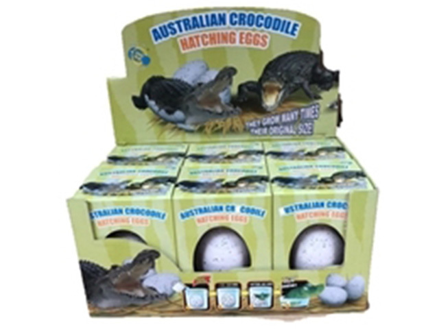 HATCHING EGG CROCODILE UN6