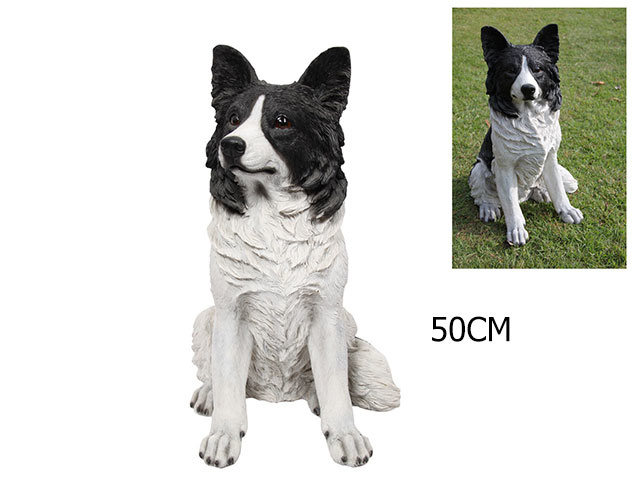 50CM BORDER COLLIE WORKING DOG