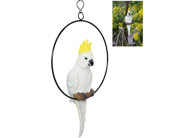 43CM COCKATOO IN 25CM RING QTY 2