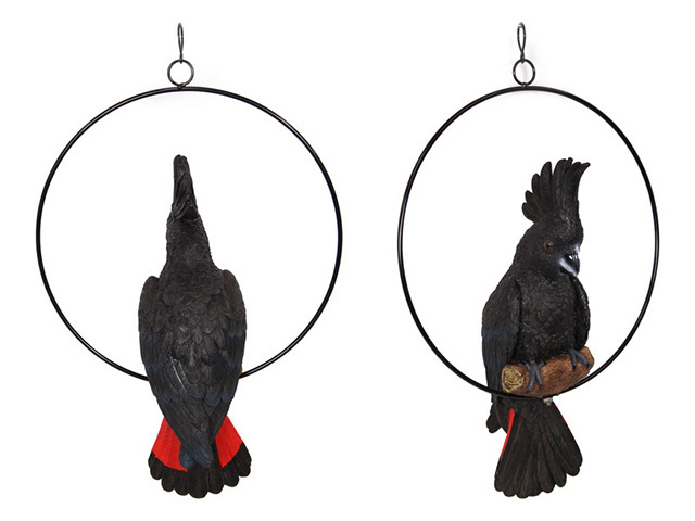 43CM BLACK COCKATOO IN 30CM RING QTY 2