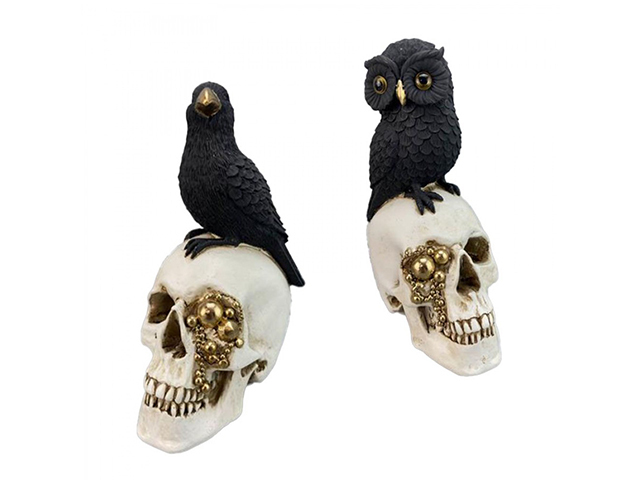 BIRD/OWL WITH SKULL 21CM 2ASST