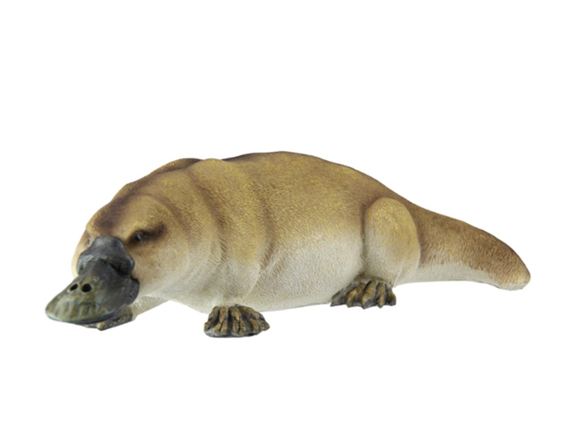 41CM PLATYPUS