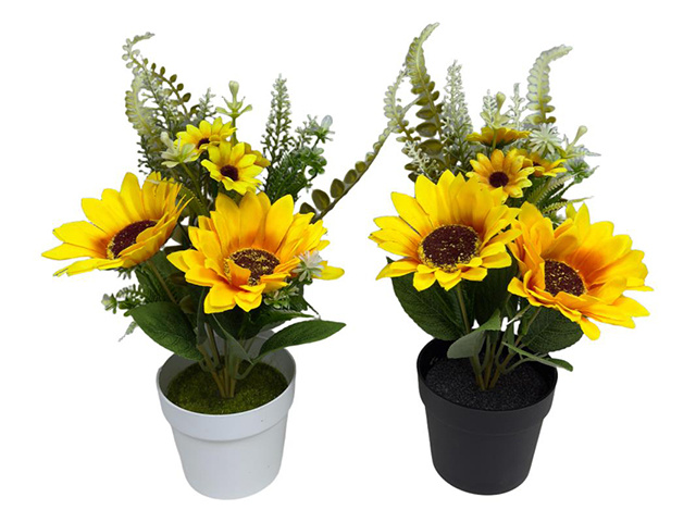 29/23CM SUNFLOWER IN POT 2ASST QTY 6