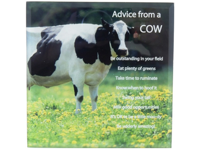 PLQ ADVICE FROM A COW 15X15CM