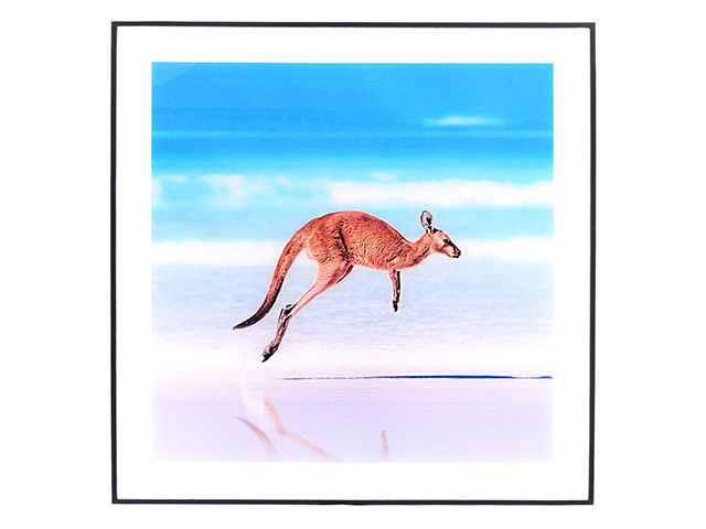 BEACH KANGAROO ART GLASS 50x50x2cm