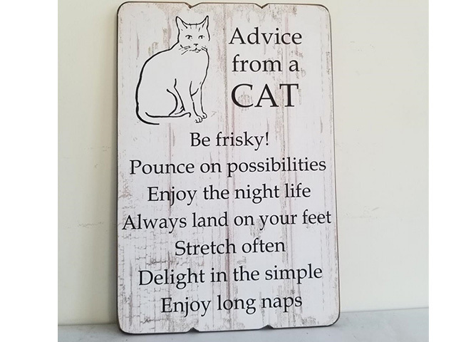 ADVISE FROM A CAT PLANK STYLE PLAQUE