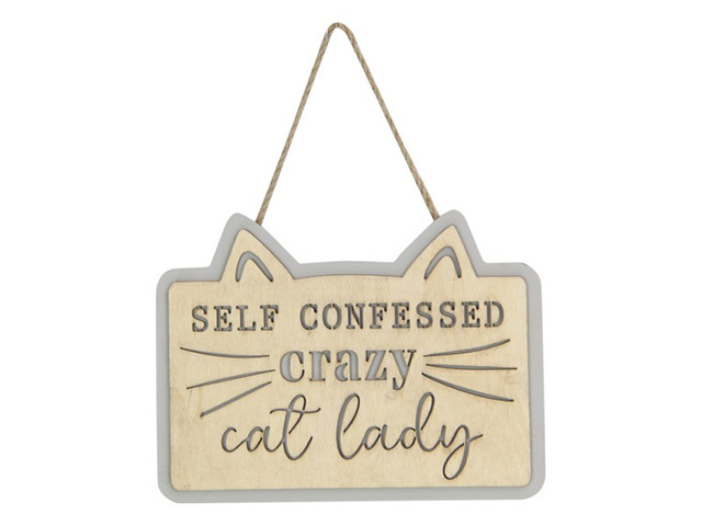 20X15CM CRAZY CAT LADY HANGING PLQ