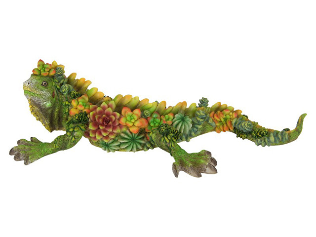 31CM LONG LIZARD W/SUCCULENT FINISH QTY 2
