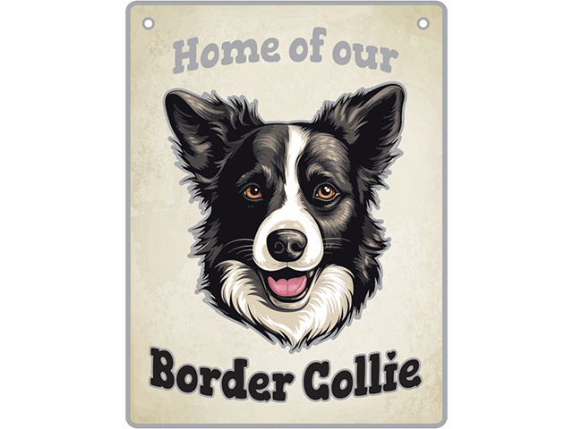 BORDER COLLIE PET SIGN SOLD QTY2