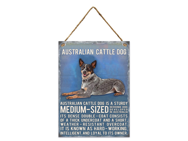 METAL AUSTRALIAN CATTLE DOG WALL HANGER 20X70CM