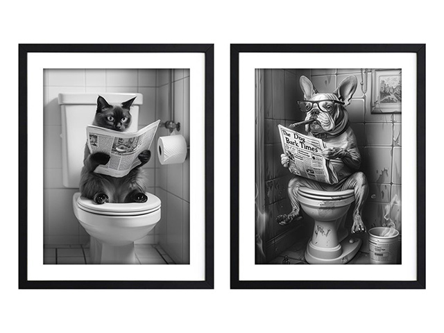 40X50CM FRAMED CANVAS CAT/DOG ON TOILET 2ASST SOLD QTY 4