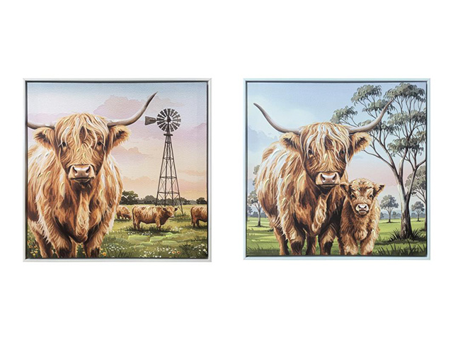 40X40CM HIGHLAND COW ARTWORK 2ASST
