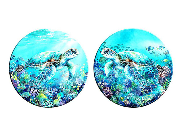 60CM SEA TURTLE ROUND GLOSS CANVAS 2ASST