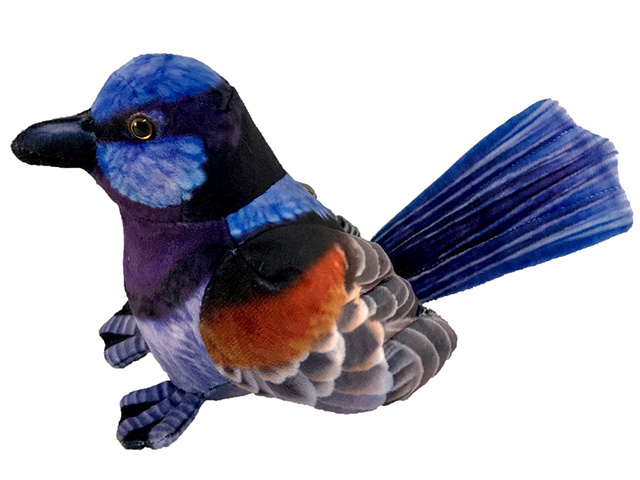 LUNA BLUE WREN