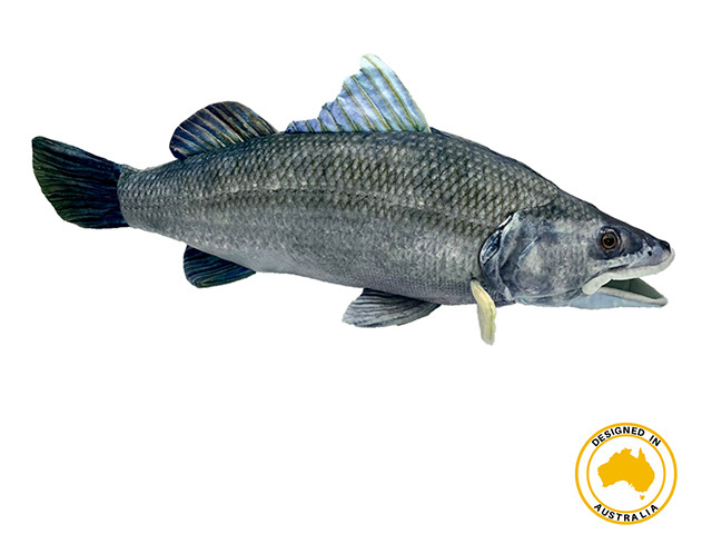 BARRY BARRAMUNDI 60CM(L)