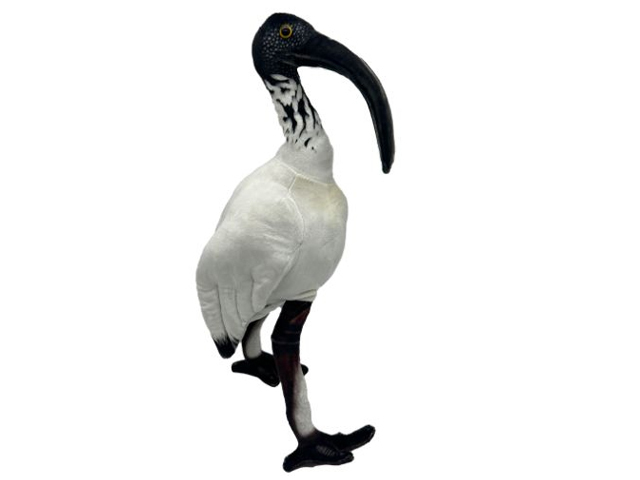 OPAL IBIS
