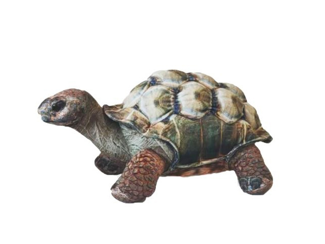 DARWIN TORTOISE Approx. 25cm