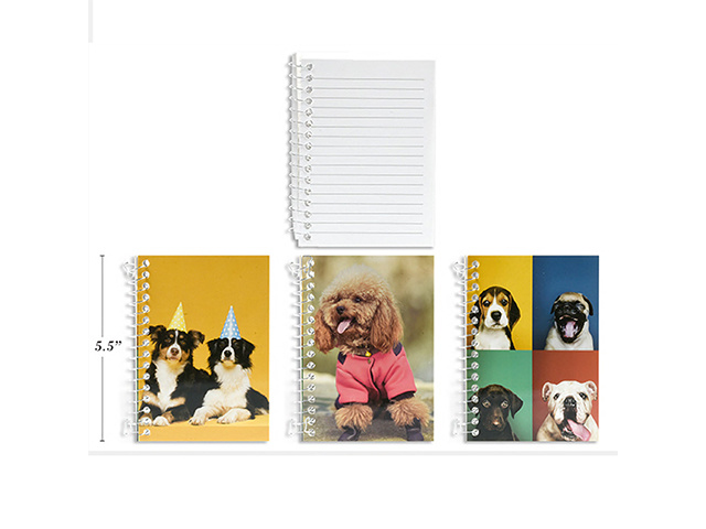 NOTEBOOK 10X14CM 240P SOLD QTY6