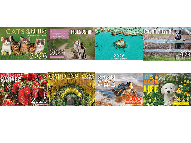 CALENDAR RECTANGLE 8ASST SOLD QTY 16