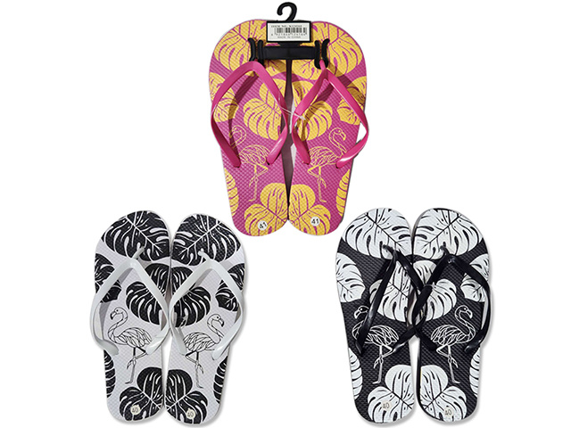SUMMER FLIP FLOPS LADIES 4ASST SOLD QTY 12